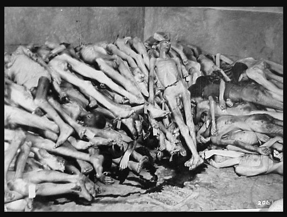 135a5793c90ab154f16e7bb7d36bdcc3