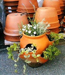 ヴィンテージ 鉢 ストロベリーポット 寄せ植え イタリア製 鉢