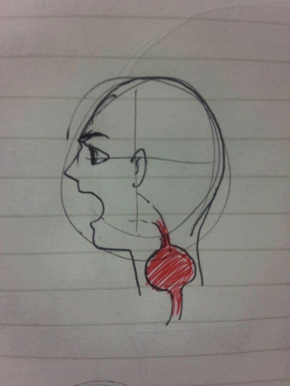 ミックスボイスの感覚がわかるストレッチ２ A級歌唱アドバイザーが歌を語る