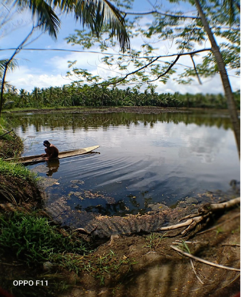 マガリャネス‗005