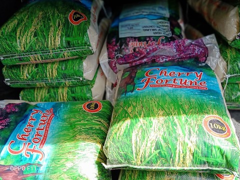 117813870_825140394959869_653267480849961046_n