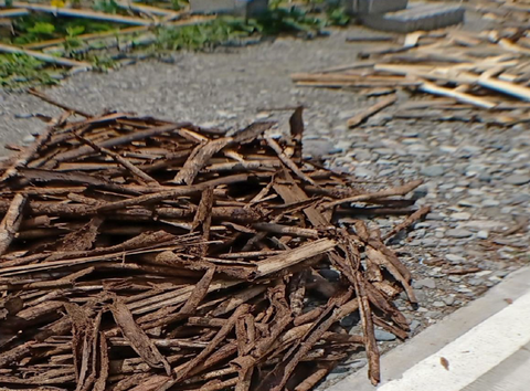 マガリャネス‗001