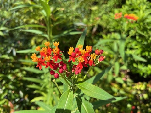 ともみんさん_20240924