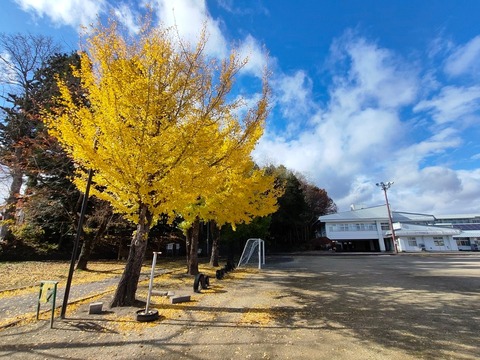 LINE_ALBUM_2024年11月帰郷_241111_5