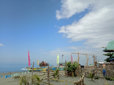 ハンナ・ジェーン・ドレラさんの記事の画像