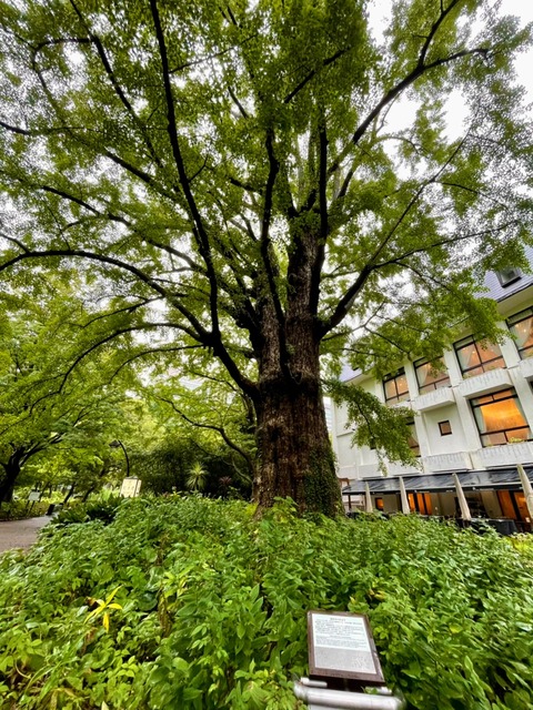 LINE_ALBUM_日比谷公園_220918_5