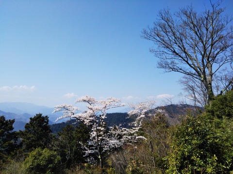 たかおさん🗻🌸_230401
