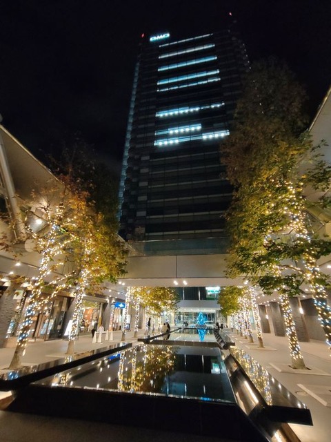 クリスマスツリー‗002