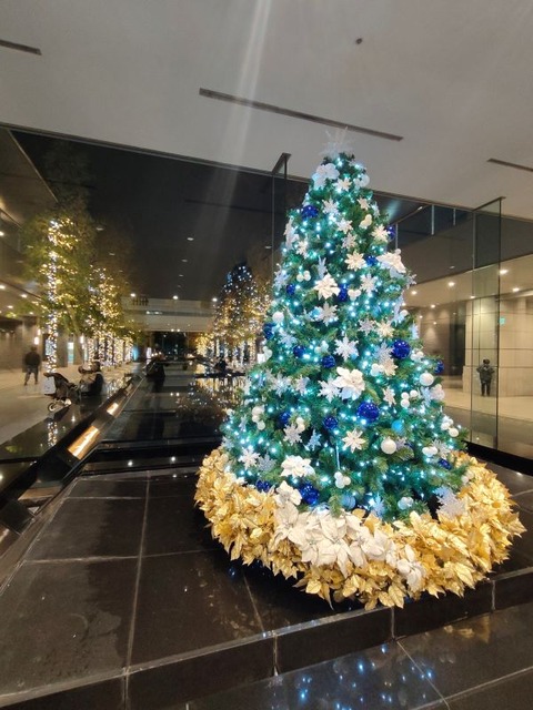 クリスマスツリー‗001