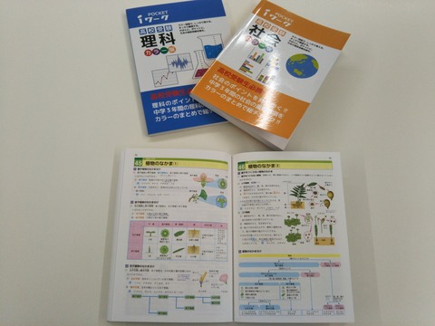 写真③