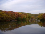 民族村紅葉2
