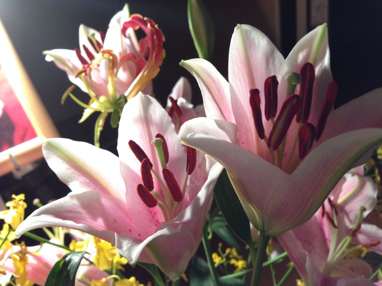 クソばばあ死んじまえ で受け入れた 母の生きざま 遠藤レーコ Blog