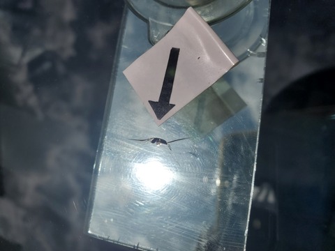 20220817_093212