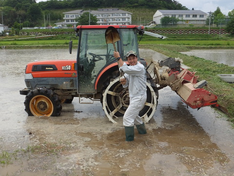 代掻きとわが家のアイドル犬猫たち。