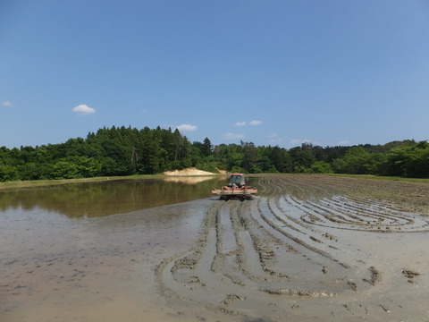 DSCF5505