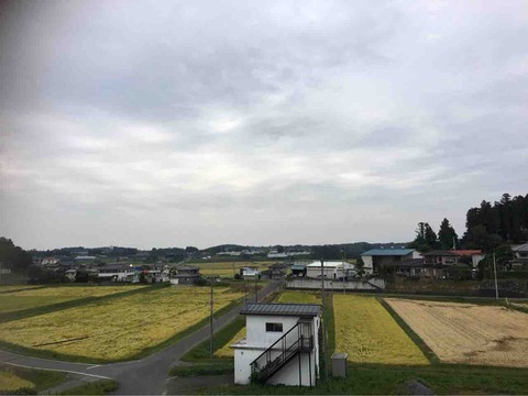 稲刈り始まります