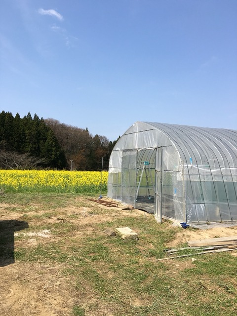 晴れた空