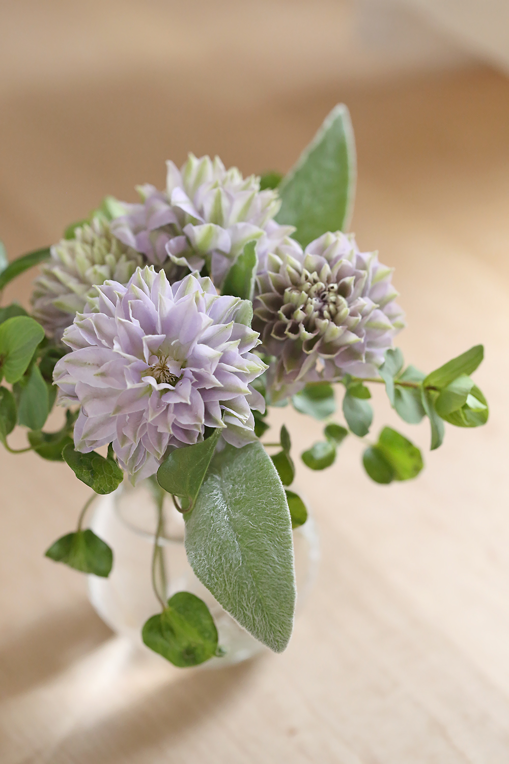 クレマチス ルリオコシ るりおこし パテンス系 八重咲