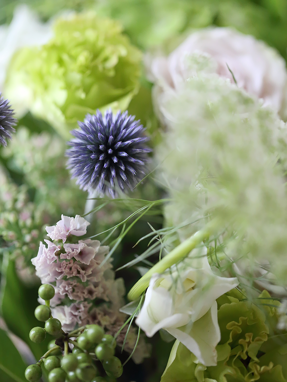 ルリタマアザミ 夕霧層 スターチス