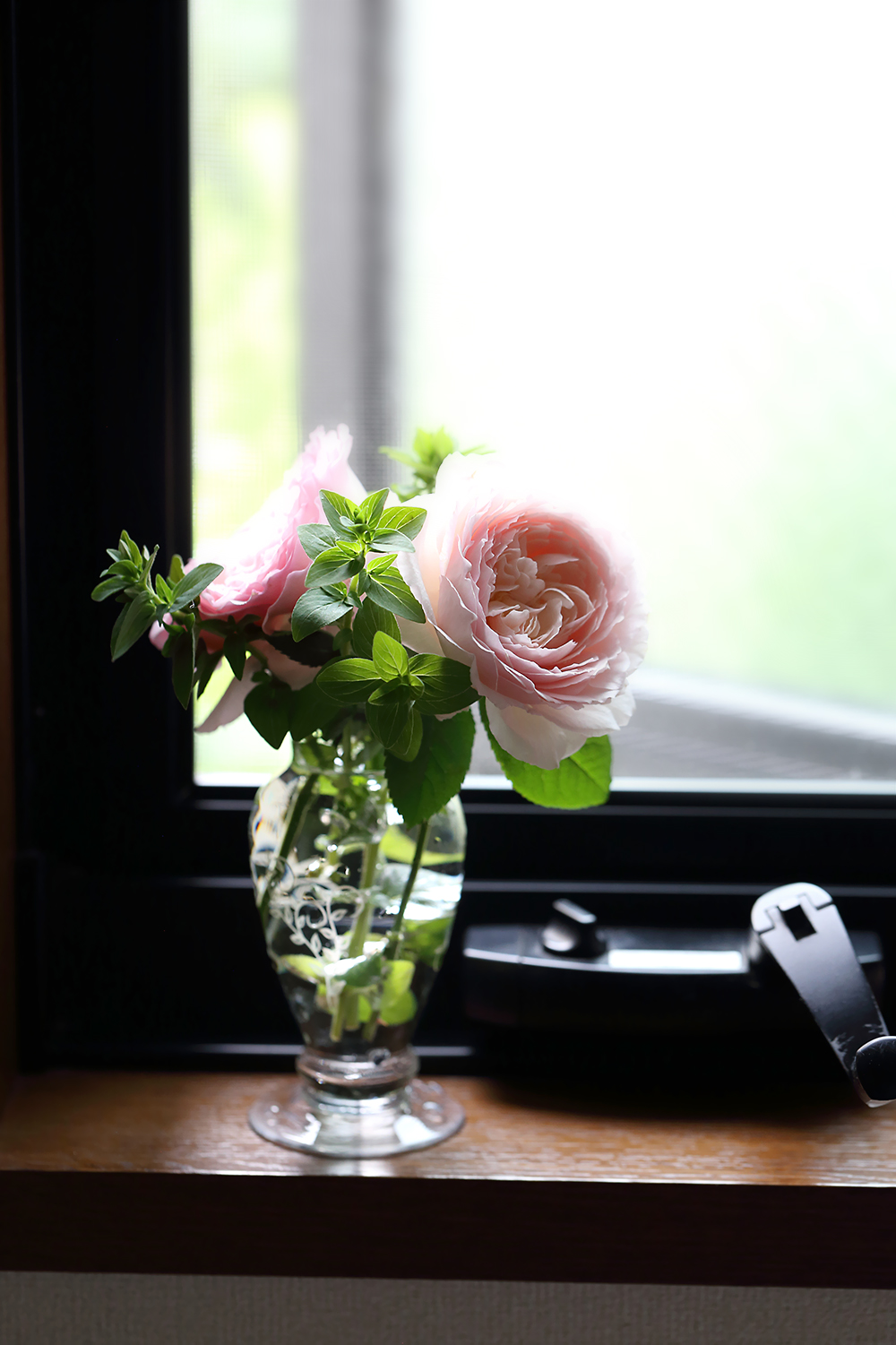 ひより　みさき　京阪園芸　國枝啓司　ローズファームケイジ