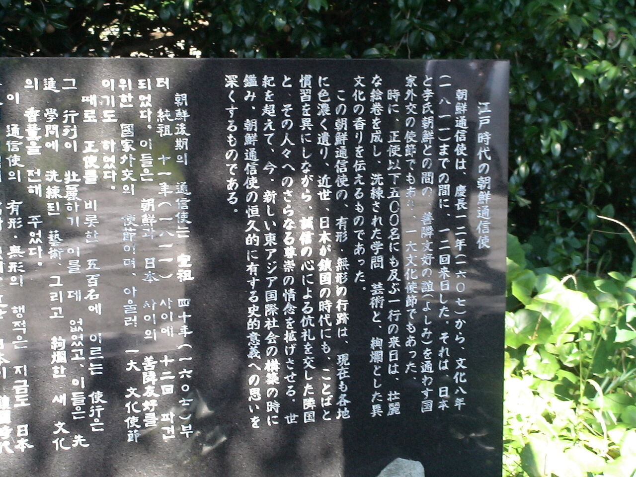 第8回 対馬島 2日目 その1 えんちゃんの地下室でうたた寝 第8回 対馬島 2日目 その1 えんちゃんの地下室でうたた寝
