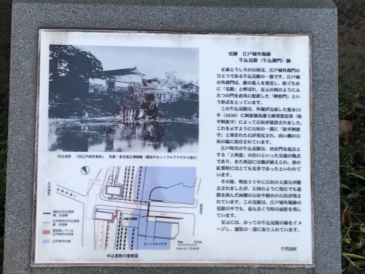 第33回 さんぽno 7 外濠公園 えんちゃんの地下室でうたた寝