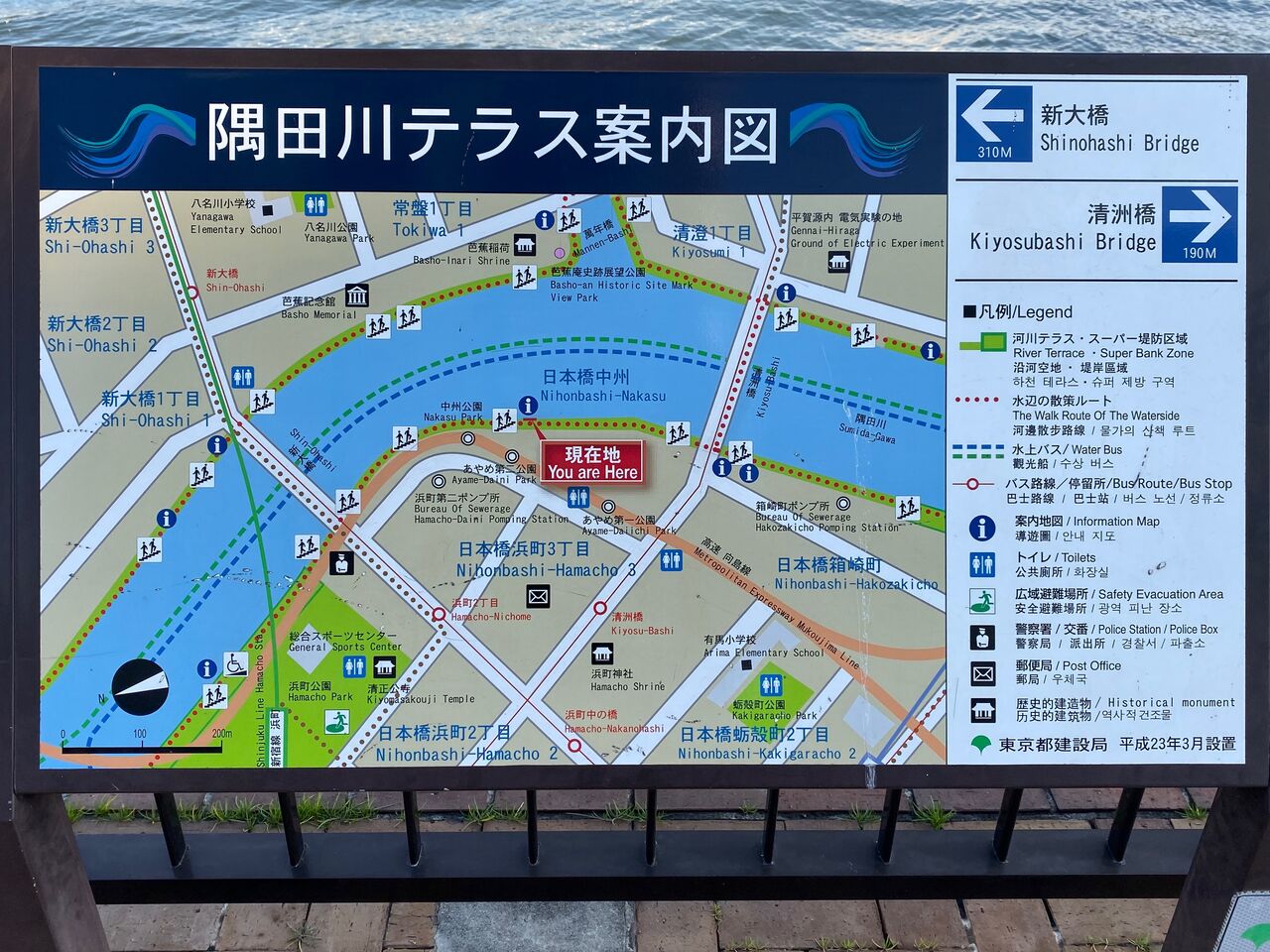 第43回 さんぽno 9 蛎殻町公園 えんちゃんの地下室でうたた寝