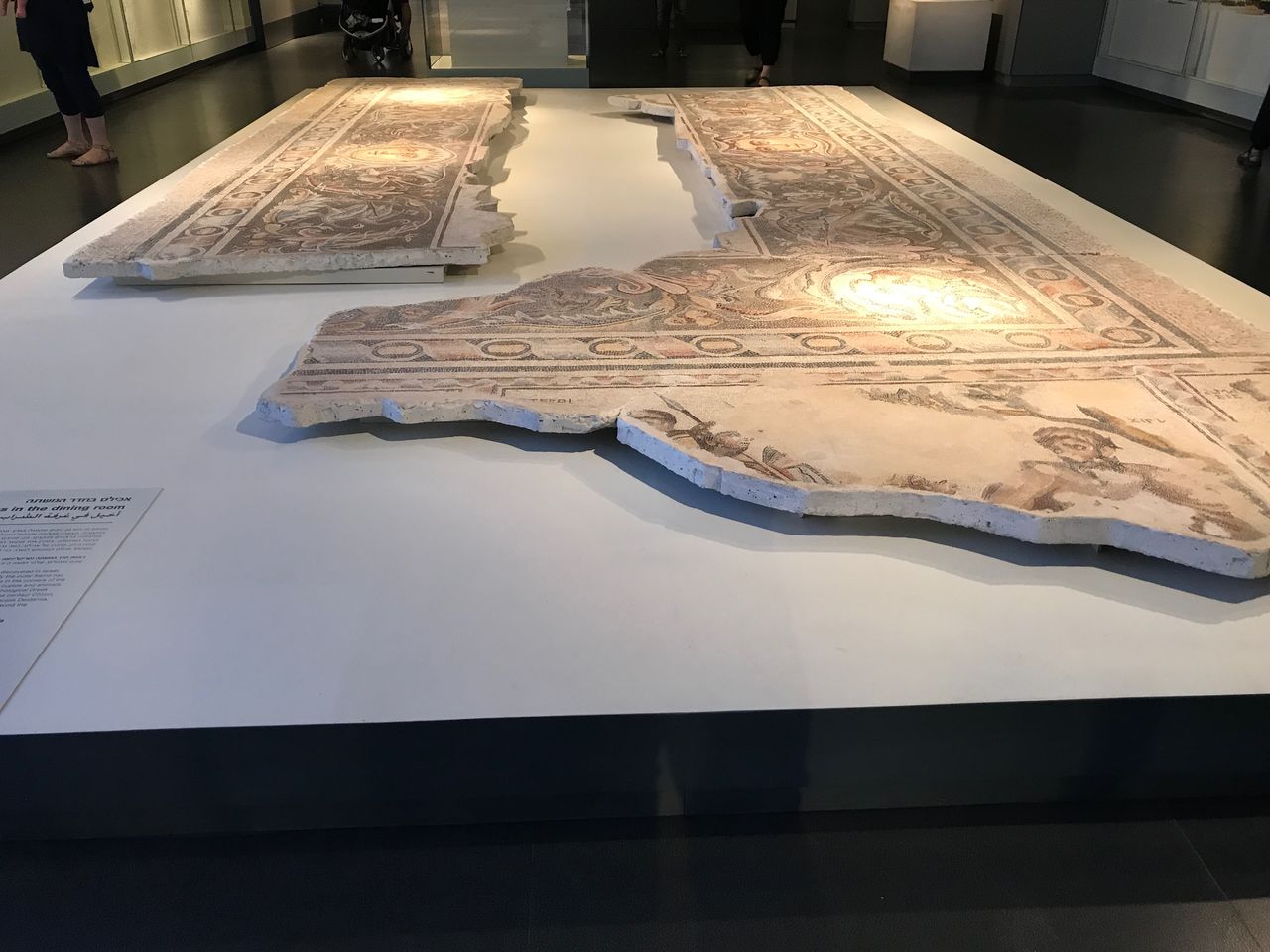 第113回 エルサレム4日目 その5 イスラエル博物館 つづき えんちゃんの地下室でうたた寝