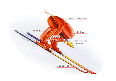 speed-skier
