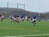 IMG_9482