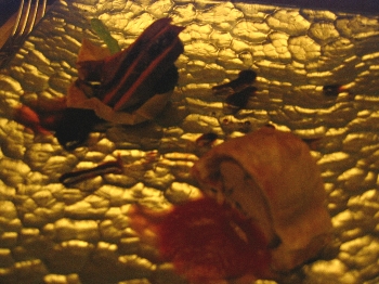 8c5e33f7.jpg