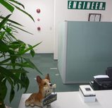 ���󥸥˥�����