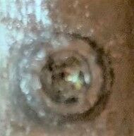 2��곰����