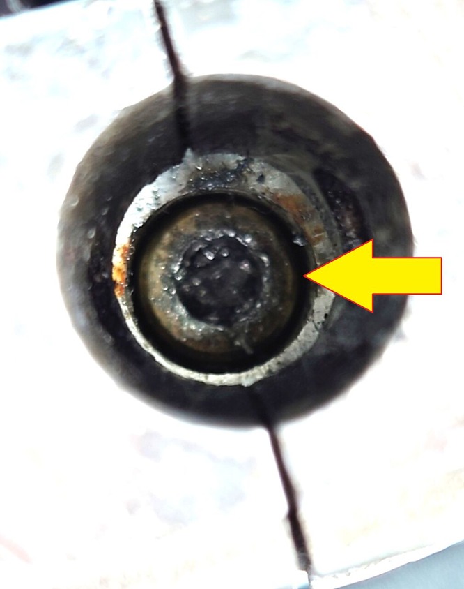 5     ���ͥ��Τʤ��礬ʬ����������