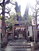 ζ���ͤβƺפꣲ