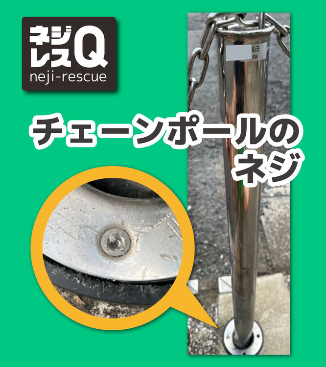 �ͥ��쥹QSNS����Ѳ���FO01_���᡼��01