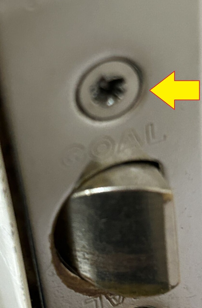 7    ���ͥ��Τʤ��礬ʬ����������