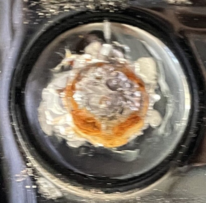 9      ���ͥ��Τʤ��礬ʬ����������