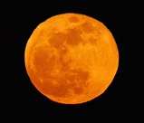 �֤�����