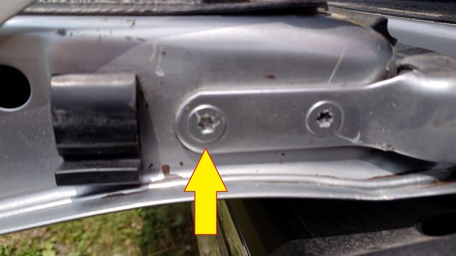 ���ͥ��μ���ξ�����ʬ�������ײ���