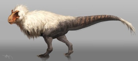 Trex-03-thumbnail2