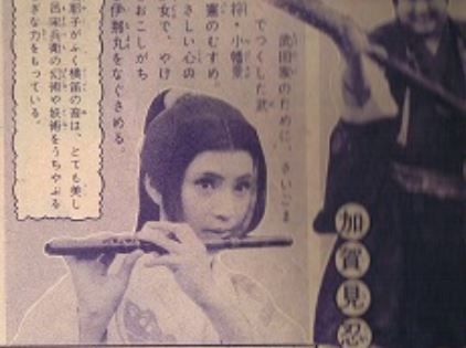 神州天馬侠 サルトビ才蔵の童心日記 神州天馬侠 サルトビ才蔵の童心日記