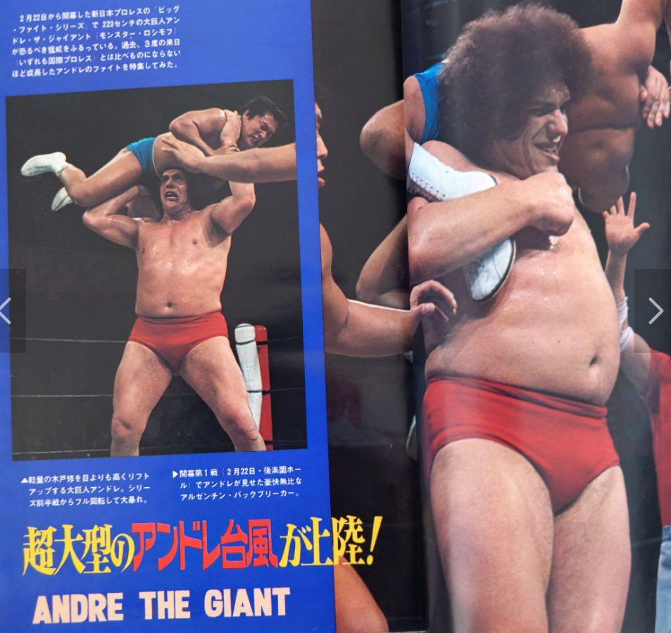 大巨人”アンドレ・ザ・ジャイアント : サルトビ才蔵の童心日記