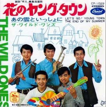 ザ ワイルド ワンズ サルトビ才蔵の童心日記