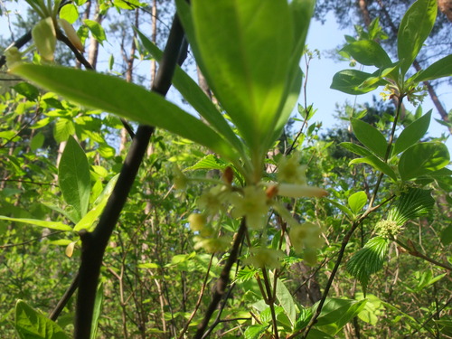 2015_04292010-9-40002