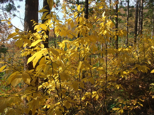 2013_11062010-9-40016