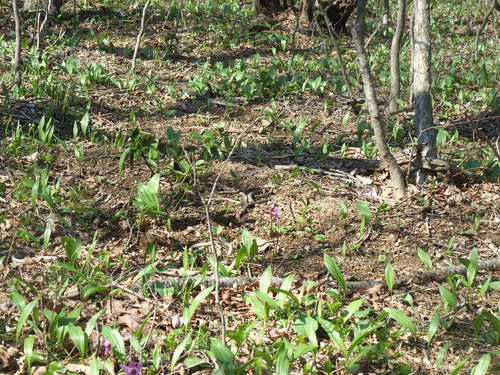 2015_04092010-9-40003