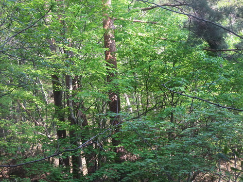 2015_04292010-9-40003