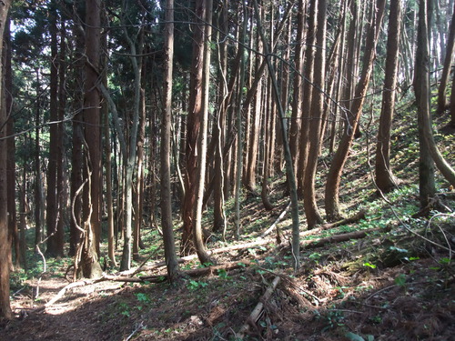 2015_04092010-9-40007