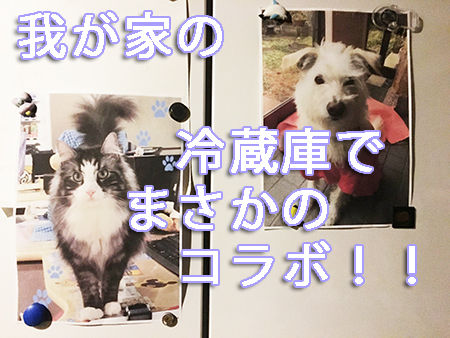 ななそらのコピー